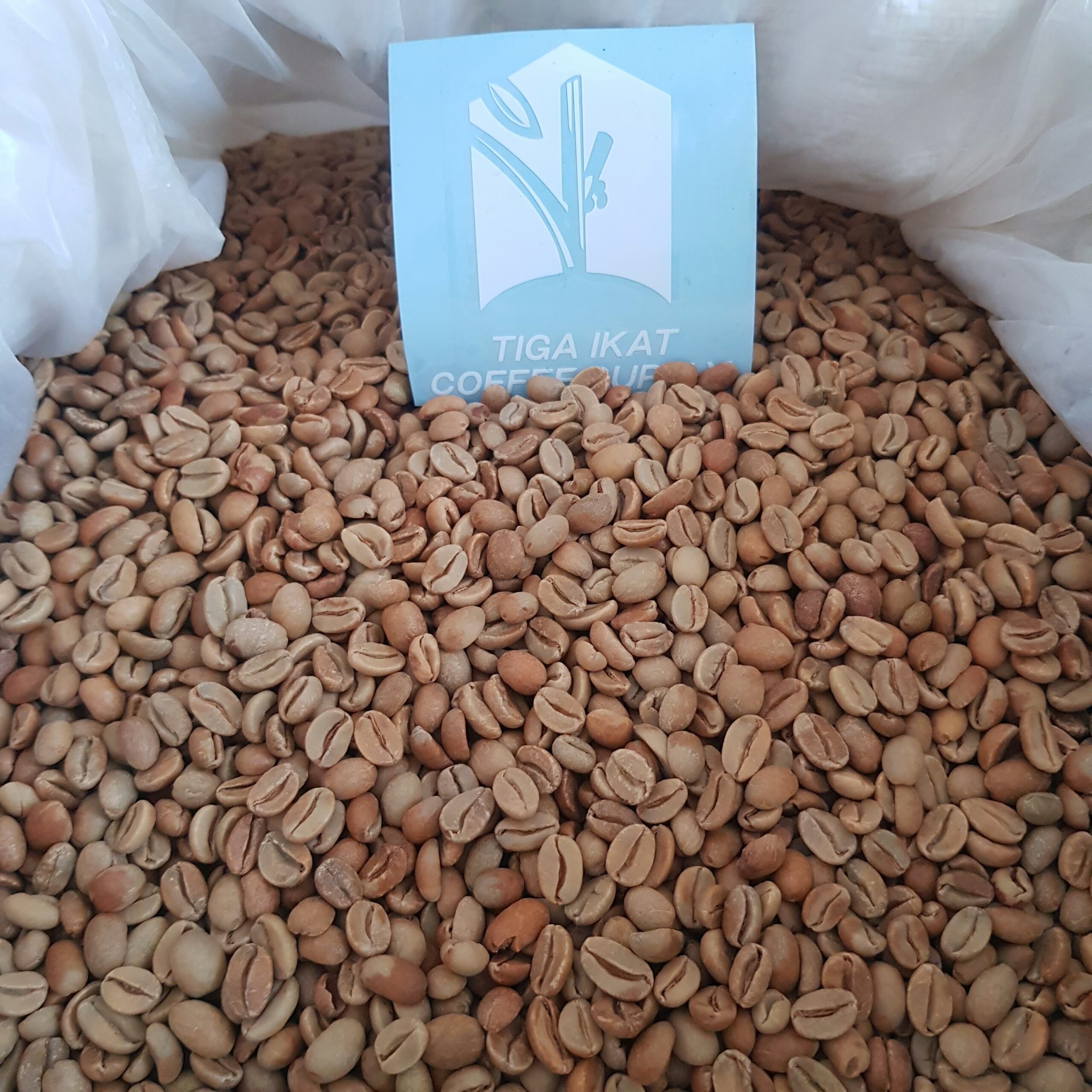 Mengenal Keunikan Kopi Gunung Halu dengan Proses Natural