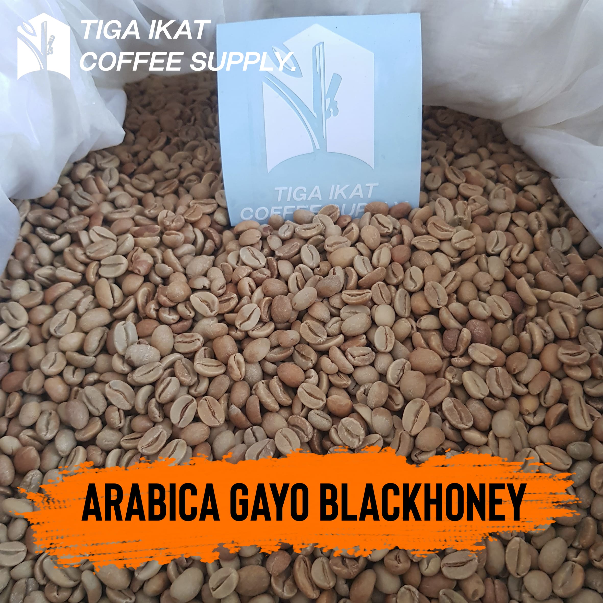 Mengenal Kopi Aceh Gayo dengan Berbagai Proses dan Keunikan Rasanya