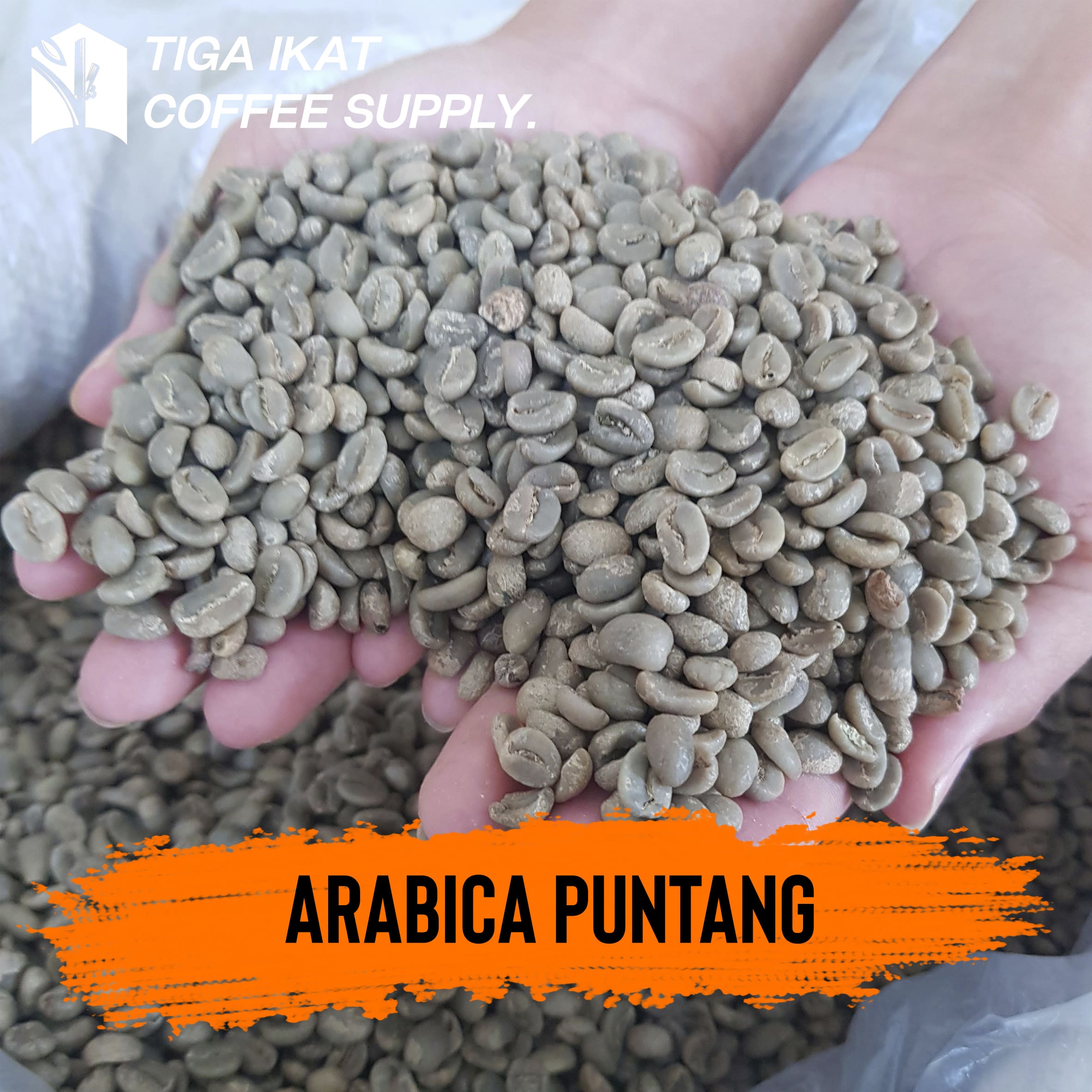 Mengenal Keunikan Kopi Gunung Puntang dengan Proses Full Wash